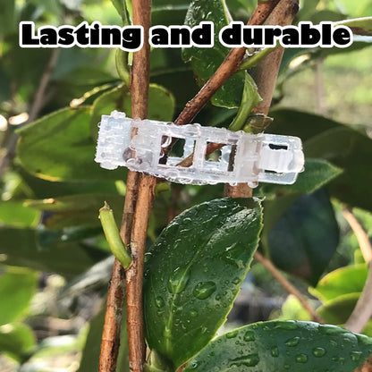 100 Count Plant Support Clips for Upright Growth of Tomato and Grape Vines - White Plastic Trellis Clips for Vegetables
